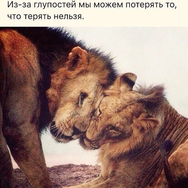 ИЗ Зд глупостей мы можем ПОТЭРЯТЬ ТО ЧТО терять нельзя