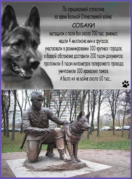 ШШПИ МЛПИПШ МИНИ ЩШШЕ утащили прашмшроищи 300 крутых городов вбивай пбсушошлоцпвили 200 тщчпокулиов приложили Виш километров платного произш уъичюмли 300 витых шли Абшю их и юйюакллп 60