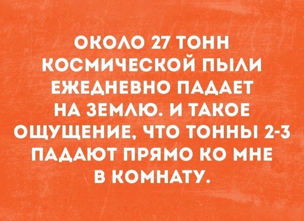 оному шип костчютйпьми мимики оичтотоииыы Мишпатим синицу