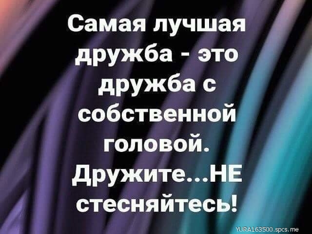 Самая лучшая дружба это дружба с собственной головой дружите стесняйтес