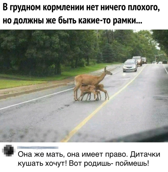 В ГРУДНОМ кормлении НЕТ НИЧЕГО ПЛОХОГО НО дОЛЖНЫ же бЫТЬ какие то рамки А _ _ Она же мать она имеет право Дитачки кушать хочут Вот родишь поймешь
