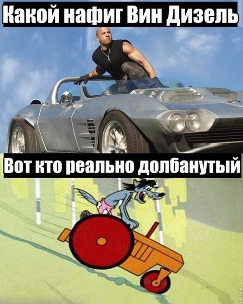 накой НЗШИГ ВИН дизель