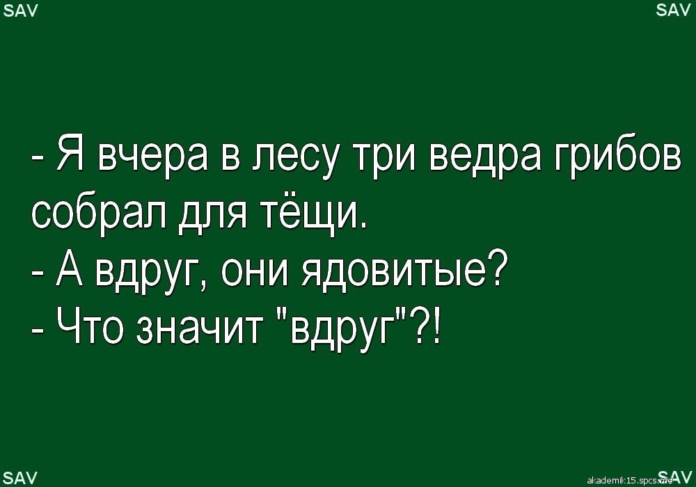 А А Я вчера в лесу три ведра грибов собрал для тёщи А вдруг они ядовитые Что значит вдруг А вЪвйето 15 зрсэёнду