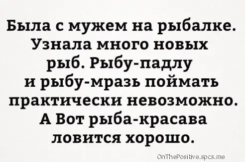 Была с мужем на рыбалке Узнала много новых рыб Рыбу падлу и рыбу мразь поймать практически невозможно А Вот рыба красава ловится хорошо