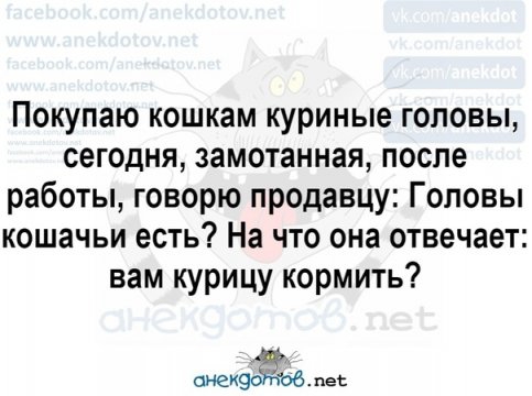 Покупаю кошкам куриные головы сегодня замотанная после работы говорю продавцу Головы кошачьи есть На что она отвечает вам курицу кормить онекэдпжье не