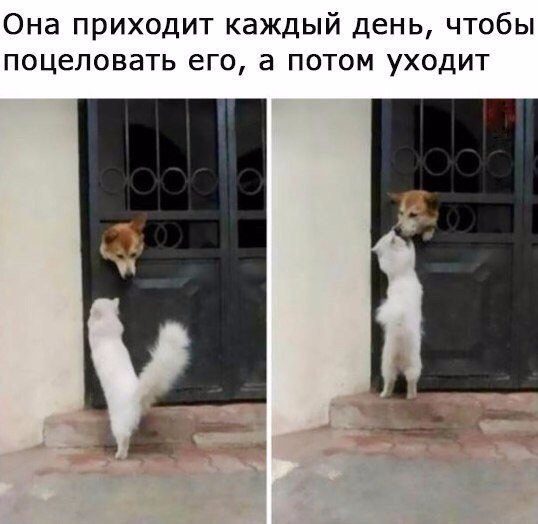 Она приходит каждый день чтобы поцеловать его а потом уходит