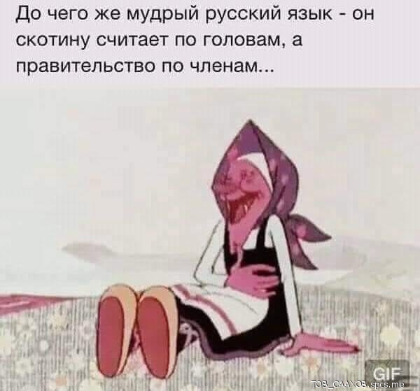 До чего же мудрый русский язык он скотину считает по головам а правительства по членам