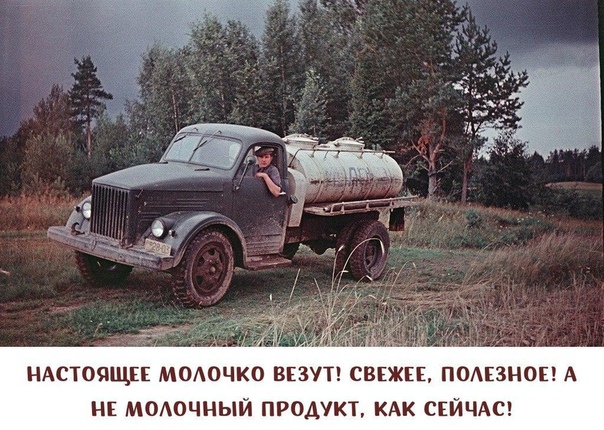 иАстоящп модочко вит снип подвзионг А и молочный продукт кдк скйчдш