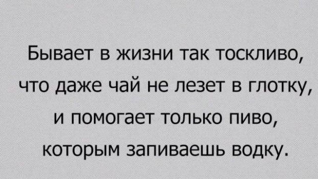 Бывает в жизни так тоскливо что даже чай не лезет в глотку и помогает только пиво которым запиваешь водку