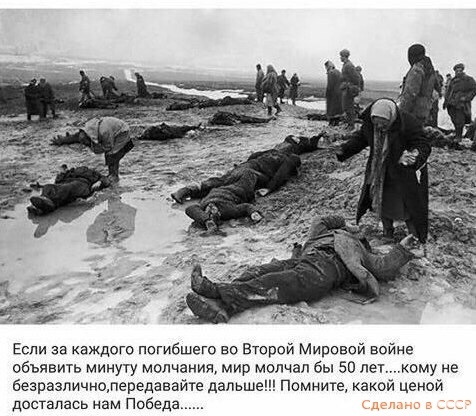 Если за каждые погибшего во Второй Мировой войне объявить минуту молчания мир молчал бы 50 лет кому не безразличнолередавайте дальше Помните какой ценой досталась нам Победа
