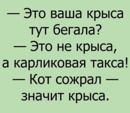 Это ваша крыса тут бегала Это не крыса а карликовая такса Кот сожрал значит крыса