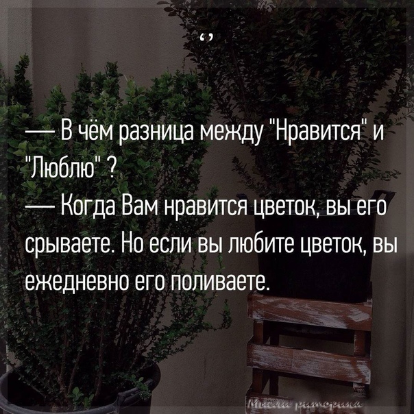 н _ В чём разница между Нравится и Люблю Когда Вам нравится цветок вы его срываете Но если вы любите цветок вы ежедневно его поливаете