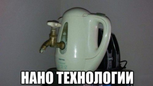ндно кинологии
