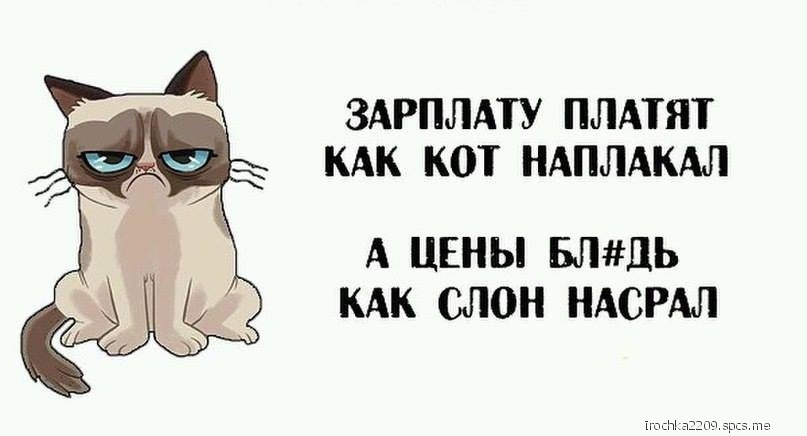 ЗАРПЛАТУ ПЛАТИТ КАК КОТ НАПЛАКАЛ А ЦЕНЫ БЛДЬ КАК СЛОН НАСРАЛ