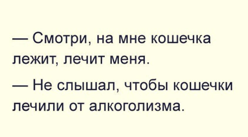 Смотри на мне кошечка лежит лечит меня Не СЛЫШЭП ЧТОбЫ КОШЭЧКИ ПЭЧИПИ ОТ ЭПКОГОЛИЗМЭ