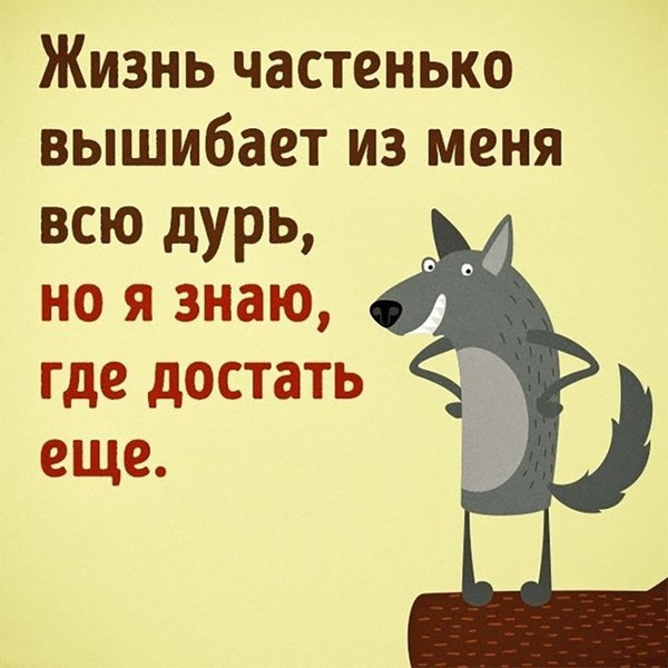 Жизнь частенько вышибает из меня всю дурь но я знаю еще