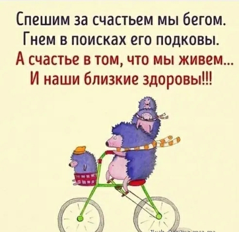 Спешим за счастьем мы бегом Гнем в поисках его подковы А счастье в том что мы живем И наши близкие здоровы