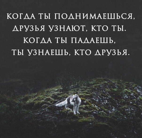 КОГДА ТЫ ПОАНИМАЕШЬСЯ ДРУЗЬЯ УЗНАЮТ КТО ТЫ КОГДА ТЫ ПАААЕШЬ ТЫ УЗНАЕШЬ КТО ДРУЗЬЯ