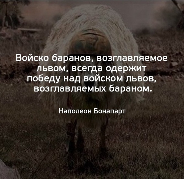 Войско баранов возглавляемое львом всегда одержит победу над войском львов возглавляемых бараном Наполеон Бонапарт