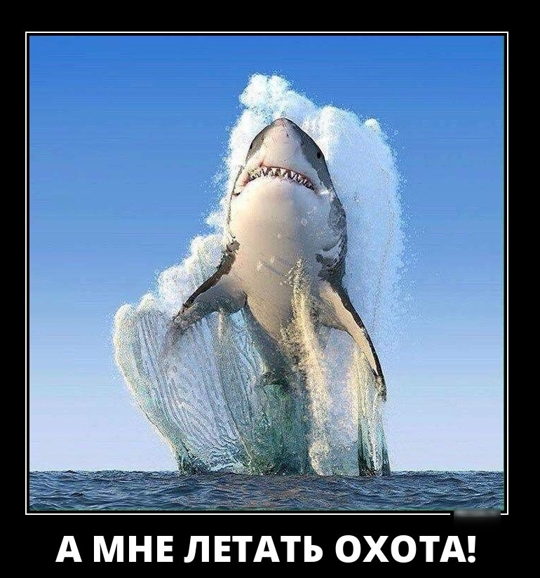 А МНЕ ЛЕТАТЬ ОХОТА