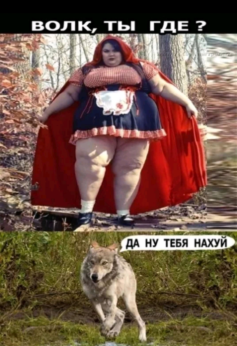 ВОЛК ТЬ ГДЕ