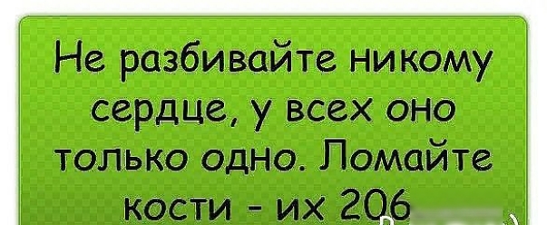 Не разбишйте нм кому сердце у всех оно только одно Помайте кости их 206 А