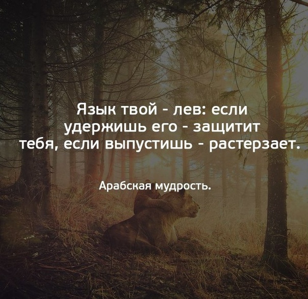 ЯЗЫК ТВОЙ лев ЕСЛИ удержишь его ЗЗЩИТИТ тебя ЕСЛИ ВЫПУСТИШЬ раСТЭРЗВЕТ Арабская мудрость