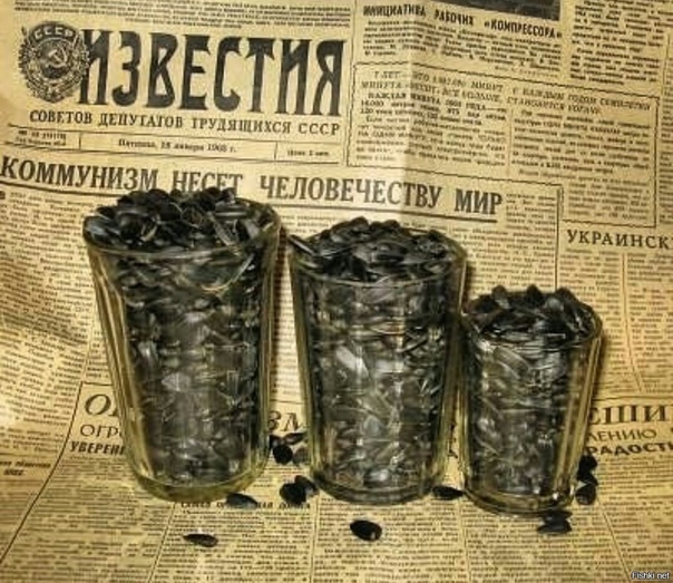лзквстпя он ипчцшп ухминск