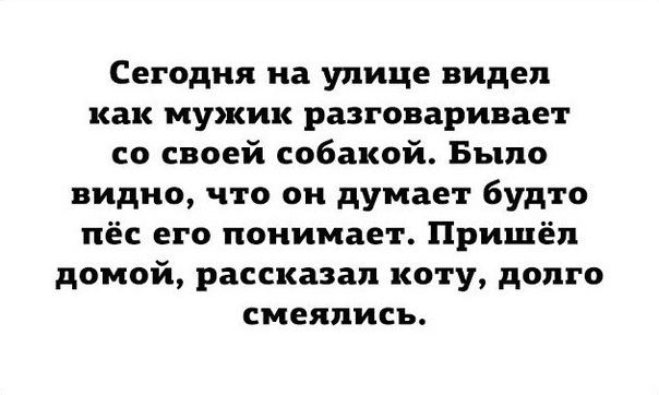 Сегодня на улице видел как мужик разговаривает со своей собакой Было видно что он думает будто пёс его понимает Пришёл домой рассказал коту долго смеялись