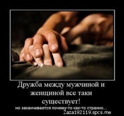 Дружба метку мужчиной и женщиной все таки существует 31921195рс5те
