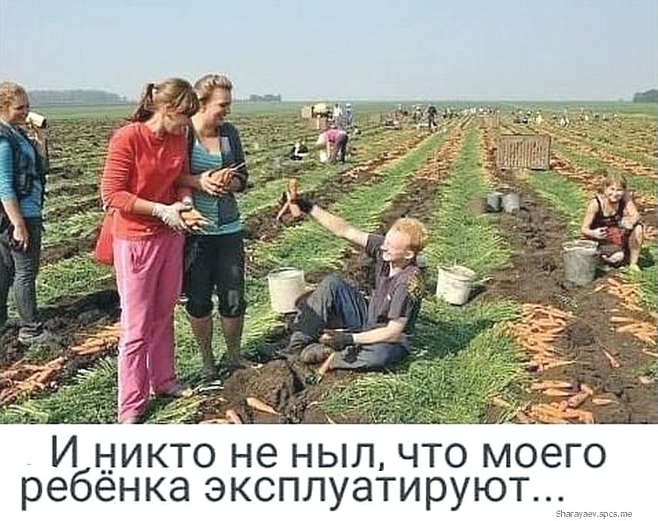 12377 И никто не ныл что моего ребенка эксплуатируют