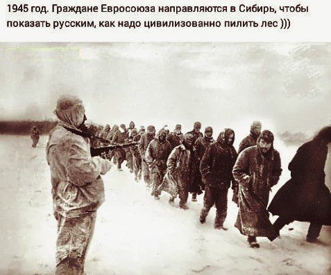 1945 пад Грамши Евросоюза капраапяюшя в Сибирь чтбы показать русским как нэдо цивилизованно пилить лес