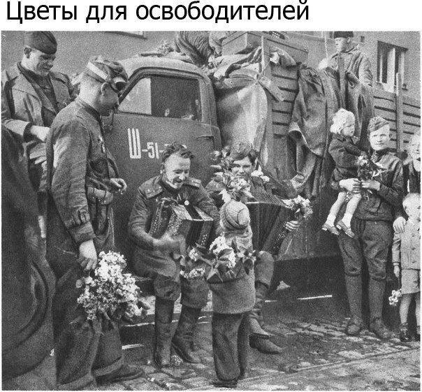 Цветы для освободителеи