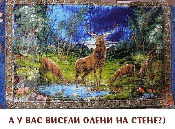 А У ВАС ВИСЕАИ ОАЕНИ НА СТЕНЕ