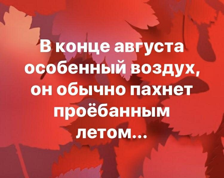 В конце августа особенный воздух он обычно пахнет проёбанным летом