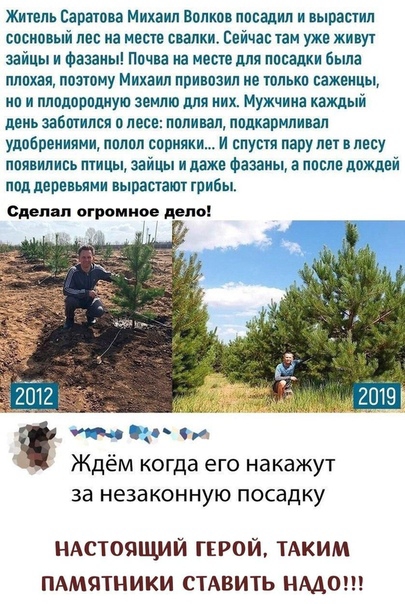 Житель Саратова Михаил вппкпв писали и вырастил сосновый лес на месте свалки Сейчас кам уже живут зайцы и Фазаиы Ппчва иа месте для посадки была пппхап поэтому Михаил привизип не толькп сажеицы ип и плпцорпдиую землю для них Мужчина каждый день забшипся несе пппивап ппцкармпивап удобрениями ппппп сприяки и спустя пару лет в лесу паявились птицы зайцы и даже Фазаны а ипспе дождей пид деревьями ныра