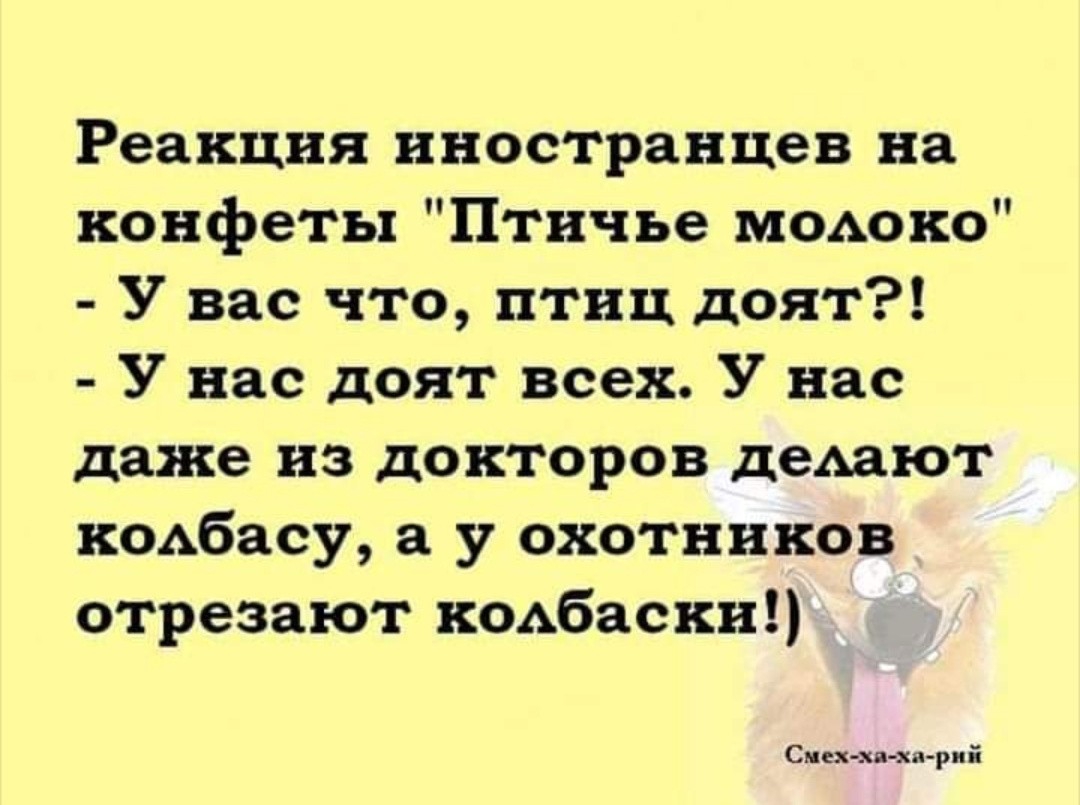 Реакция иностранцев на конфеты Птичье модоко У вас что птиц доят У нас доят всех У нас даже из докторов деАают кодбасу а у охотников отрезают кодбаски Смек хп хя риі