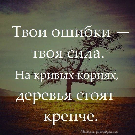 Твои ошибки твоя сила На кривых корнях деревья стоят крепче
