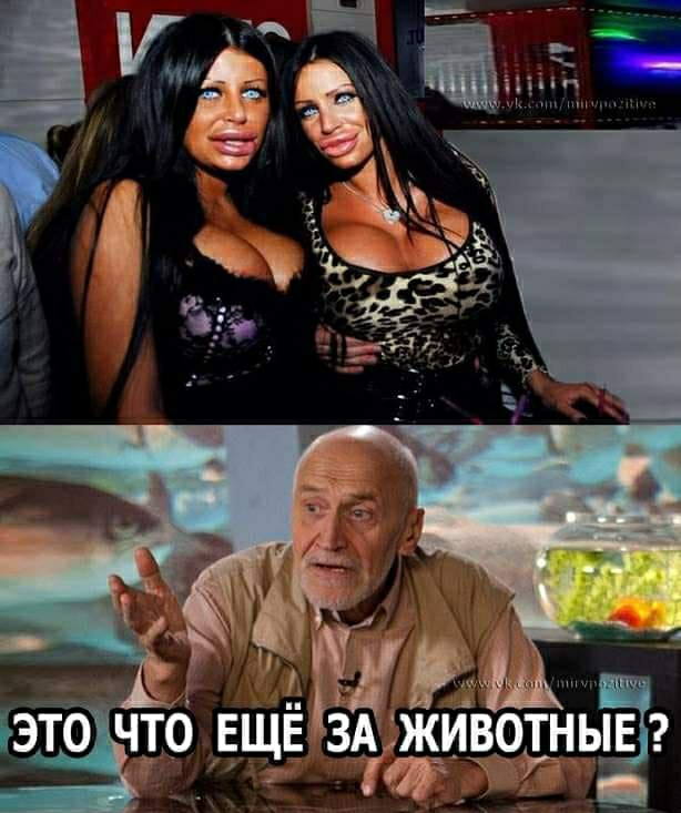 153 іэт чур ЕЩЕ зА жив