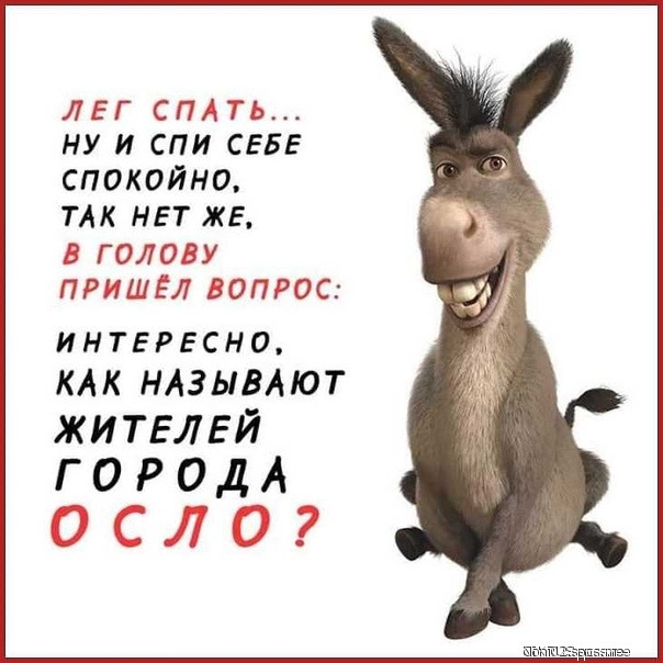 ЛЕГ СПА ТЬ НУ И СПИ СЕБЕ СПОКОЙНО ТАК НЕТ ЖЕ В ГОЛОВУ ПРИШЕЛ ВОПРОС интересно КАК НАЗЫВАЮТ ЖИТЕЛЕЙ г 0 Р од А ОСЛО