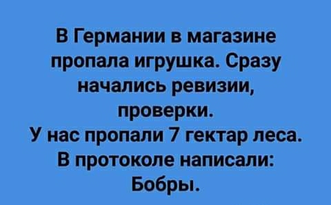 В Германии в магазине пропала игрушка Сразу начались ревизии проверки У нас пропали 7 гектар леса В протоколе написали Бобры