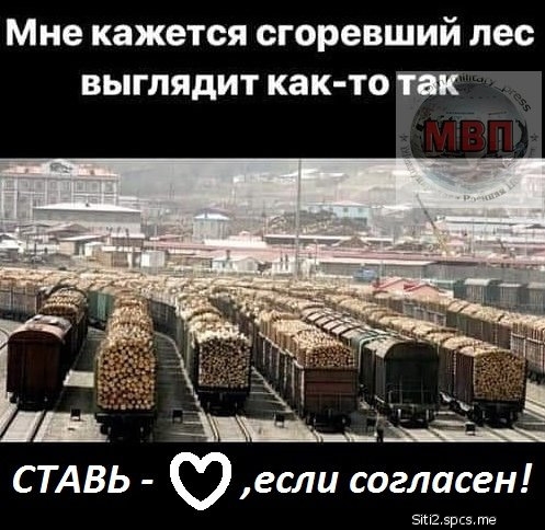 Мне кажется сгоревший лес выглядит как то так 5 5рс те