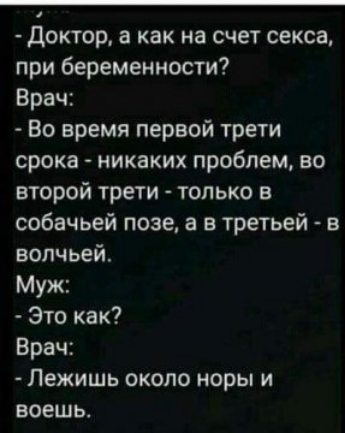 Доктор а как на счет секса при беременности Врач Во время первой трети срока никаких проблем во второй трети только в собачьей позе а в третьей в волчьей Муж Это как Врач Лежишь около норы и воешь