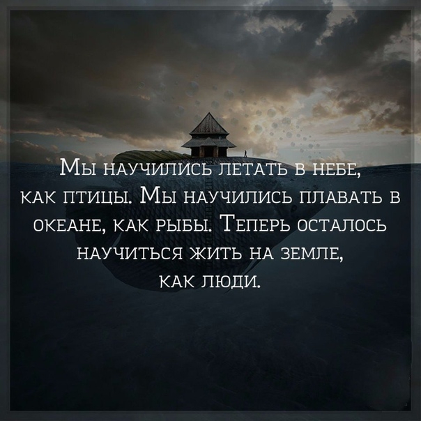 АучипИсЬ ЛЕТА КАК птицы Мы НАУЧИПИСЬ ППАВАТЬ в ОКЕАНЕ КАК РЫБЫ ТЕПЕРЬ ОСТАЛОСЬ НАУЧИТЬСЯ жить НА ЗЕМЛЕ КАК люди