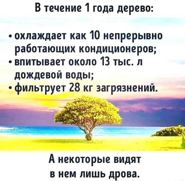 В течение 1 года дерево охлаждает как 10 непрерывно работающих кондиционеров впитывает около 13 тыс л дождевой воды __ _фильт ет 8_ кг загрязнений А некоторые видят в нем лишь дрова