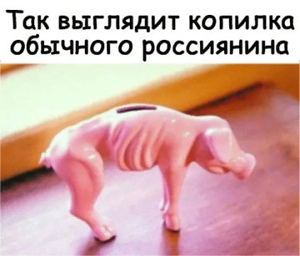 ТОК ВЬ1ГЛЯдИТ КОПИЛКО обычного россиянина _