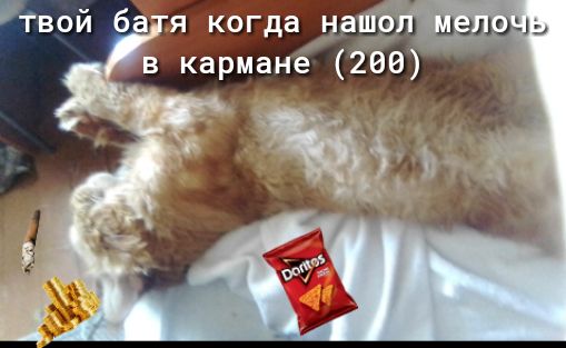 Мелоны