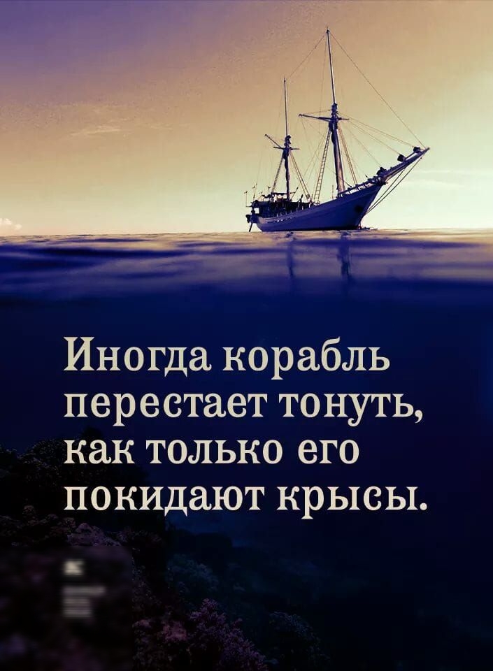 Иногда корабль перестает тонуть как только его покидают крысы к ш и т