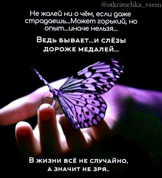 щмы ис Не жсмей ни о чём есмд воже строеоешьмкет горький но опытиноме нельзя Ведь вымыв и слёзы дороже МЕДАЛЕЙ В жизни всё на случАй но А зидчит не зря
