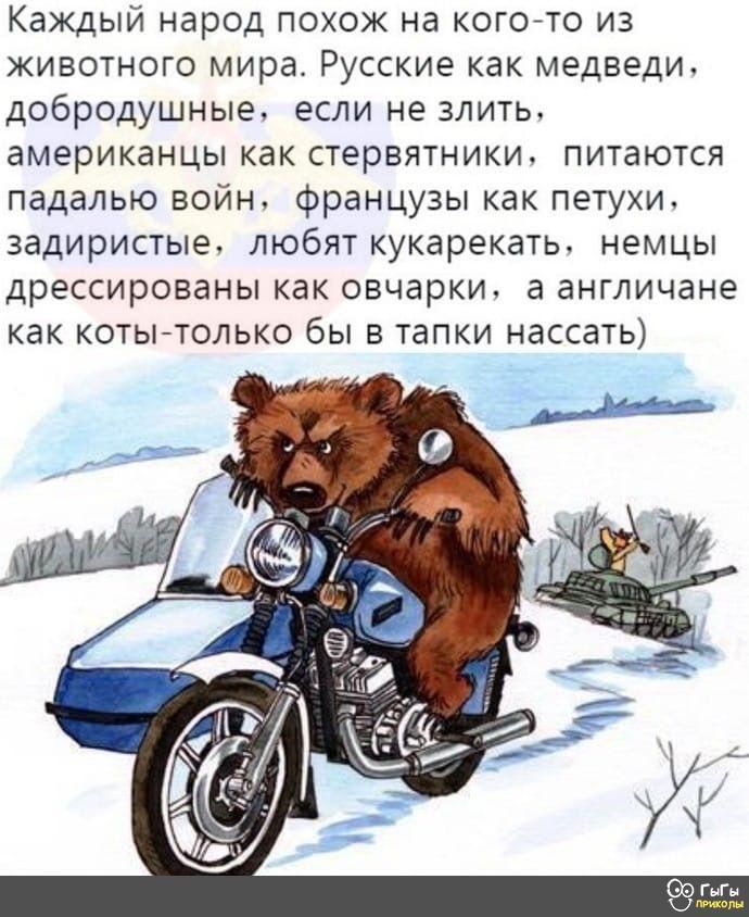 Каждый народ похож на когогто из животного мира Русские как медведи добродушные если не злить американцы как стервятникш питаются падалью войн французы как петухи задиристые любят кукарекать немцы дрессированы как овчарки а англичане как коты только бы в тапки нассать